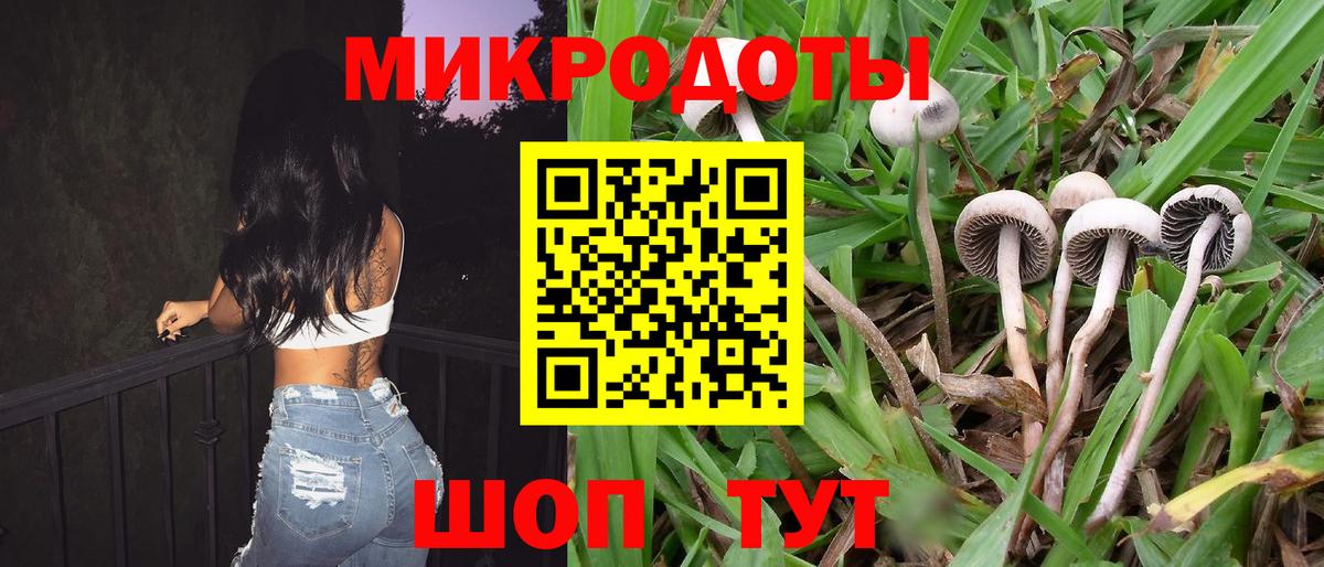 Псилоцибиновые грибы мицелий Костомукша