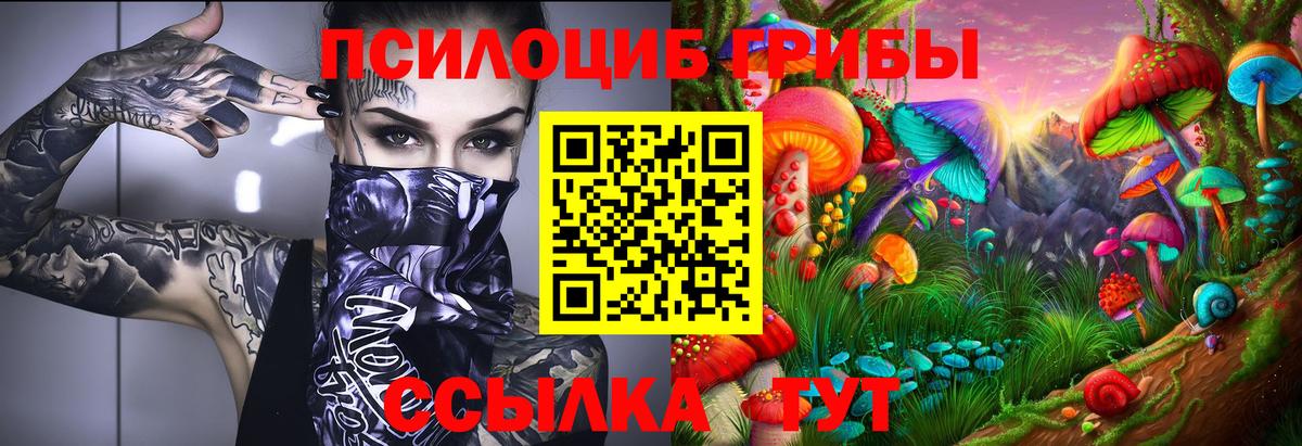 Псилоцибиновые грибы Magic Shrooms  Вход с VPN  Псилоцибиновые грибы прущие грибы  Костомукша 